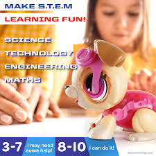 Amazon.com: Paw Patrol Skye