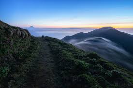 It has a firm texture with small irregular. View From The Highest Mountain Of Sao Jorge Azores Portugal