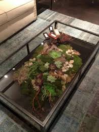 Coffee Tables 15 2020 Bitki Terraria Ev Bitkisi