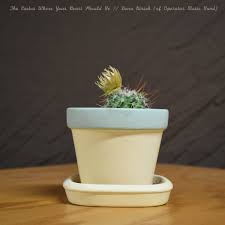 Переводы the cactus where. итальянский zidanie5. The Cactus Where Your Heart Should Be Dara Hirsch Of Operator Music Band Living Statue Records