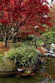 You can differentiate the different styles of gardens which were designed and built from asuka period to. Elements Of A Japanese Garden Finegardening