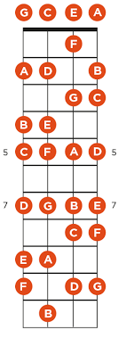 Get To Know Your Ukulele Fretboard Ukulele Go