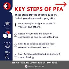 Image result for Psychological First Aid