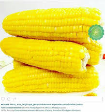 Resepi bubur jagung menggunakan pressure cooker *pembetulan: Steamed Sweetcorn Kuantan Resep
