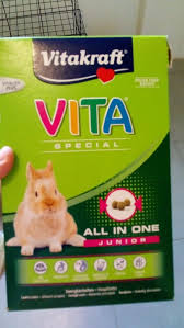 En utilisant des matériaux de bonne qualité, le clapier sera un endroit agréable et confortable pour vos lapins. Jeux Et Cachettes Pour Lapins A Faire Soi Meme