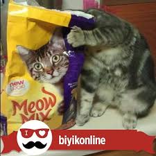Pin On Biyikonline