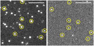 Check spelling or type a new query. A Novel Method To Evaluate Ribosomal Performance In Cell Free Protein Synthesis Systems Scientific Reports