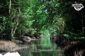 It is bordered by the atlantic ocean to the north, french guiana to the east, guyana to the west, and brazil to the. Guia De Surinam El Gran Viaje