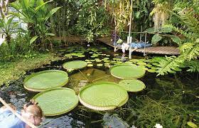 Natürlich meine kamera dabei ging es heute in den botanischen garten nach marburg. Komm Zur Grunen Oase Grashupfer Sudhessen
