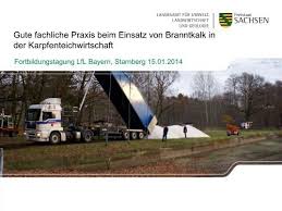 Jan 10, 2018 · branntkalk und auch alle anderen kalkformen werden nach dem ausstreuen allenfalls oberflächlich in den boden eingearbeitet, aber nicht untergegraben. Einsatz Von Branntkalk In Der Karpfenteichwirtschaft Dr Bayern