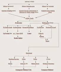 Pathway Mioma Uteri
