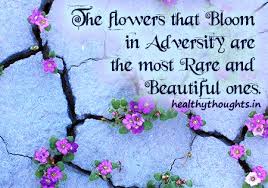 01:18:35 is the most rare and beautiful of all. The Flowers That Bloom In Adversity Are The Most Rare And Beautiful Ones