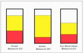 Image result for Blood Volume
