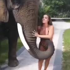 Слон и девушка (эротика) - BEST XXX TUBE