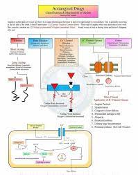 Pin By Julia Nicoara On Md Pharmacology Nursing Pharmacology Nursing Students
