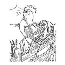 Is Your Kid A Lover Of Farm Animals Want To Make Learn About This Farm Animal Th With Images Farm Animal Coloring Pages Animal Coloring Pages Chicken Coloring