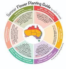 Check spelling or type a new query. Summer Flower Planting Guide By Regional Zones Australia About The Garden Magazine