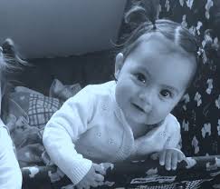 annual report 2019 •