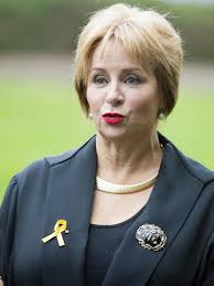 Health Minister Michael Ferguson stands firm in face of call from Speaker Sue  Hickey to 'consider his position'