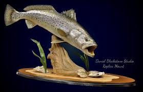 Sea Trout Fish Pet Fish Art Bluegill