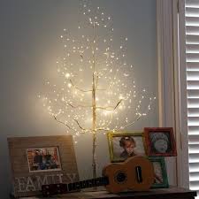 Fairylighted Trees Branches Fairy Lights In Trees Lighted Tree Branches Tree Lighting