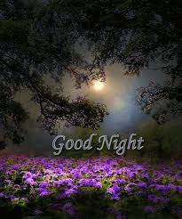 Search, discover and share your favorite nature hd gifs. Gif Image Popular Nature Good Night Gif Hd