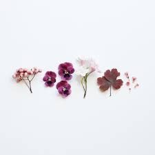 Pin Na Doske Beauty Discover more posts about flower wallpaper. pin na doske beauty