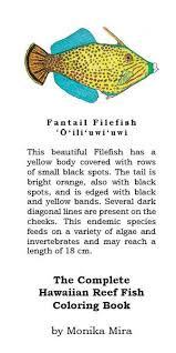 This Beautiful Filefish Has A Yellow Body Covered With Rows Of Small Black Spots The Tail Is Bright Orange Also With Black Spot Yellow Bodies Coloring Books