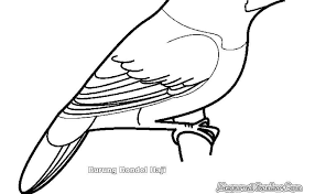 Gambar Burung Hantu Hitam Putih Untuk Diwarnai Gambar Kartun Burung Hantu Buat Garskin Mewarnai Gambar Download Kole Ilustrasi Hewan Sketsa Gambar Burung