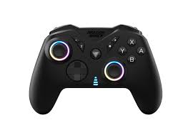 Retrato de perfil de una persona nativa.