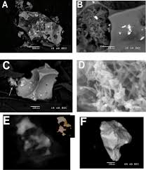 Mesh and textures by piotr goryczka. Physico Chemical Properties Of Chernobyl Lava And Their Destruction Products Sciencedirect