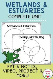 Wetland And Estuary Ecosystems In 2020 Ecosystems Distance Learning Elementary Science Classroom