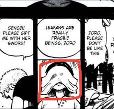 How Did One Piece'S Kuina Die? Zoro'S Backstory Explained