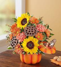 Maybe you would like to learn more about one of these? Pumpkin N Posies From 1 800 Flowers Com