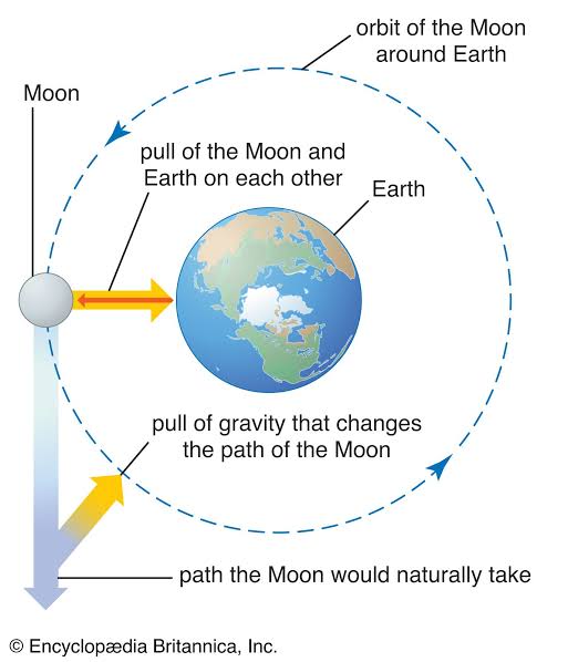 Gravity | Definition, Physics, & Facts | Britannica