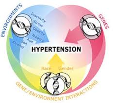 Nursing Care Plan Hypertension Nursing Crib