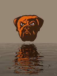 That would be the one big highlight for richardson in the first half. Gif Cleveland Browns Animated Gif On Gifer