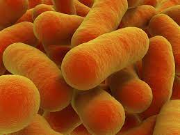 I truly don't want to scare you! Time To Whey In On Botulism Global Food Safety Resource