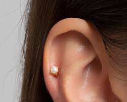Image result for Tragus koelerioides