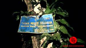 Download lagu dan video terbaru. Paranormal Hantu Tiada Kepala Gombak Jalan Lama Balai Polis Youtube