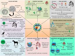 Frontiers A Comprehensive Review On Equine Influenza Virus