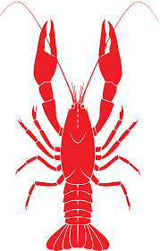 | view 6 crawfish boil illustration, images and graphics from +50,000 possibilities. Crawfish Boil Cartoon Shefalitayal