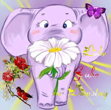 Https Encrypted Tbn0 Gstatic Com Images Q Tbn 3aand9gcrceobvwqk6n1nnsrcry2kltydqa4sachk 8g Usqp Cau