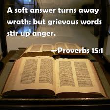 The eyes of the lord are in every place, keeping watch on the evil and the good. Proverbs 15 1 A Soft Answer Turns Away Wrath But Grievous Words Stir Up Anger