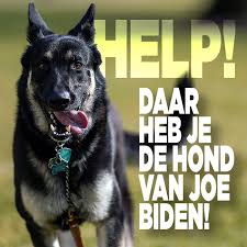 Inflation may be a historical curiosity for now, but rising prices will. Hond Van Biden Bijt Van Zich Af Ditjes Datjes