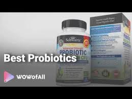 Some of the best probiotic curds in india are: Best Probiotics In India Complete List With Features Price Range Details 2019 Youtube