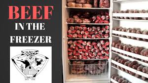 However, for best quality, use uncooked steaks, roasts, or chops within four to 12 months, uncooked ground beef within four months, and cooked beef within two to three months. Freezer Full Of Fresh Grass Fed Beef Youtube