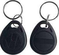 125khz RFID Writable rewritable T5577 fob tag for RFID Writer (Pack of 10)  (Black)