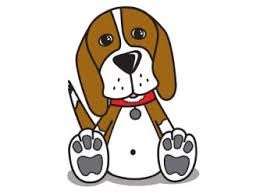 Beagle Rescue Victoria Inc Petrescue Watch beetle bailey full episodes free online cartoons. beagle rescue victoria inc petrescue