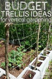 Creative Garden Trellises Uses Decorifusta In 2020 Diy Garden Trellis Small Space Gardening Garden Trellis